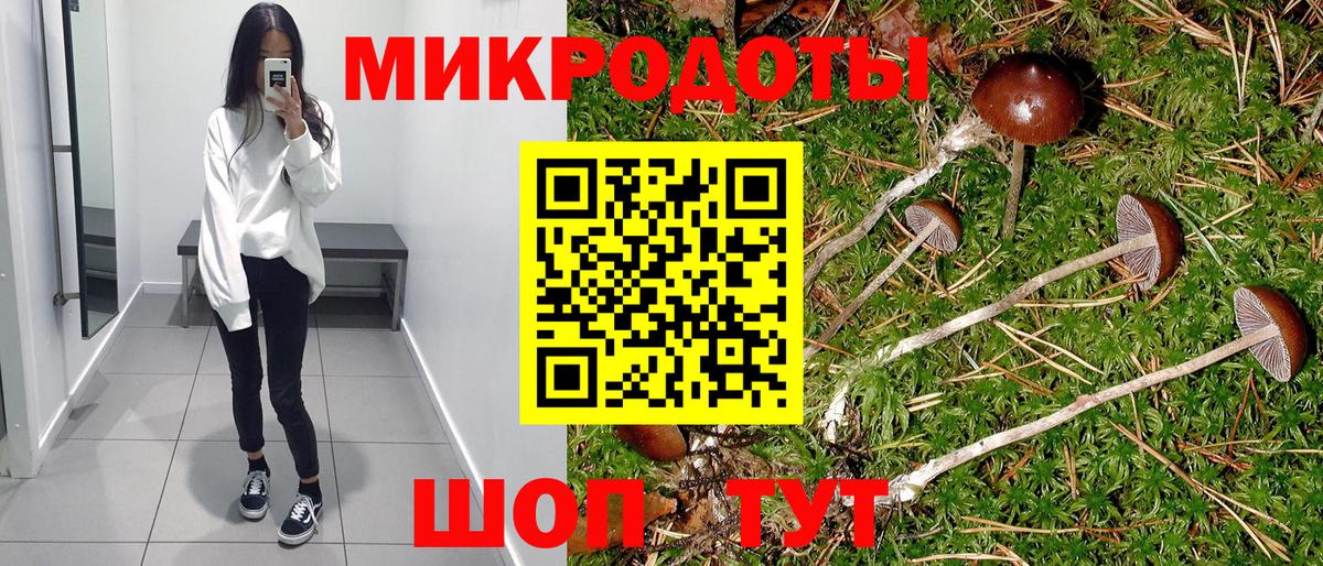 Галлюциногенные грибы MAGIC MUSHROOMS  Галлюциногенные грибы Cubensis  Тверь  Вход с VPN 